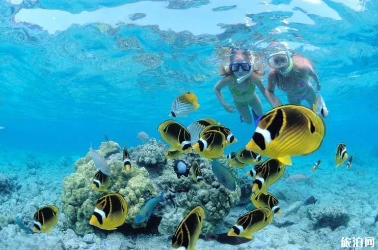 泰国浮潜需要准备什么