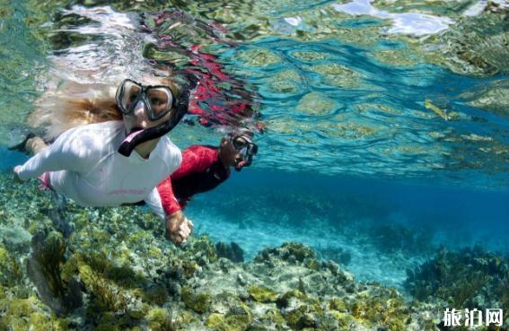 泰国浮潜需要准备什么