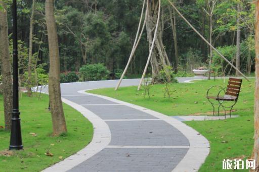 去深圳旅游住在哪里会比较方便