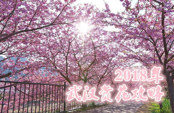 2018年武汉赏花攻略